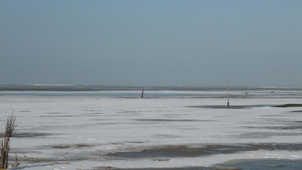 Armarova Ihre Ferienpension Cuxhaven Luaran gambar